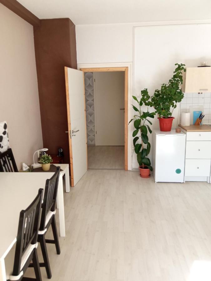 Free Parking, Balcony, Near To City Park Budapest Exteriör bild