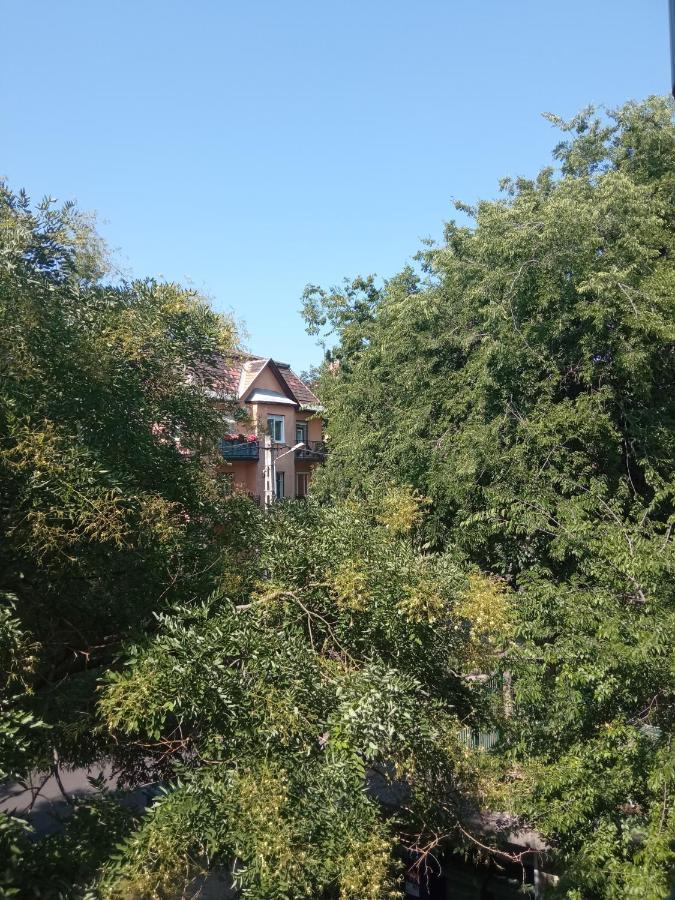 Free Parking, Balcony, Near To City Park Budapest Exteriör bild