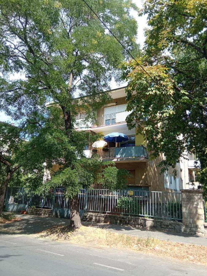 Free Parking, Balcony, Near To City Park Budapest Exteriör bild