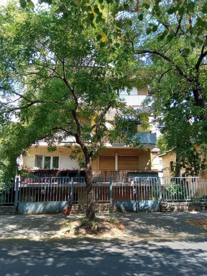 Free Parking, Balcony, Near To City Park Budapest Exteriör bild